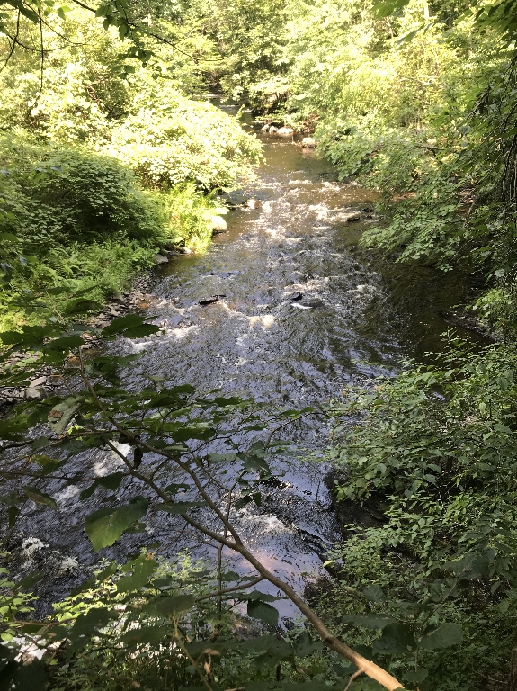 IMG_3634.JPG